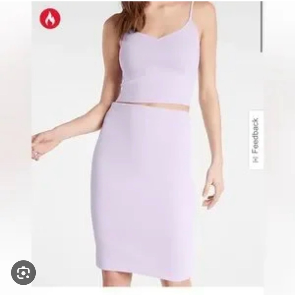 Express Women's Lavender Pencil Skirt